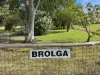 80 Gwydirfield Road, Moree, NSW 2400-Image