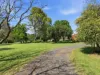 80 Gwydirfield Road, Moree, NSW 2400-Image