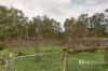 80 Jardine Road, Macclesfield, Vic 3782-Image