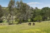 80 Joyce Lane, Mia Mia, Vic 3444-Image