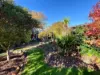 80 Neill Street, Beaufort, Vic 3373-Image