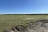 80 Prosser Street, Katanning, WA 6317-Image