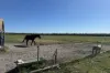 80 Prosser Street, Katanning, WA 6317-Image