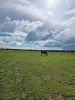 80 Prosser Street, Katanning, WA 6317-Image