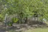 80 Queen Street, Marburg, Qld 4346-Image