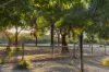 80 Ridgehill Rise, Roleystone, WA 6111-Image