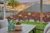 80 Rubicon Crescent, Kuraby, Qld 4112-Image