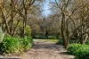 80 Schuberts Road, Lobethal, SA 5241-Image