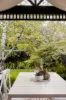 80 Shady Grove, Forest Hill, Vic 3131-Image