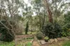 80 Sheoak Road, Crafers West SA 5152-Image