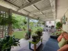80 Tooth Street, Pialba, Qld 4655-Image