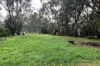80 Wallace Street, Apsley, Vic 3319-Image