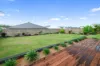 80 Western Road, Medowie, NSW 2318-Image