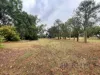 80 White Road, Coalstoun Lakes, Qld 4621-Image