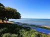 80 Windsor Place, Deception Bay QLD 4508-Image