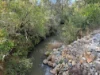 80A Tooloom Street, Legume, NSW 2476-Image