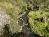 80A Tooloom Street, Legume, NSW 2476-Image