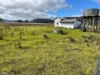 80A Tooloom Street, Legume, NSW 2476-Image