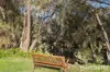 81/445 Pinjarra Road, Coodanup, WA 6210-Image