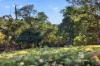 81 Albatross Road, Kalimna, Vic 3909-Image