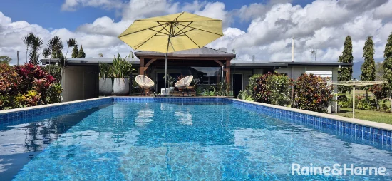 81 Bells Road, Newell, Qld 4873