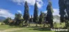 81 Bells Road, Newell, Qld 4873-Image