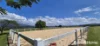 81 Bells Road, Newell, Qld 4873-Image