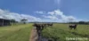 81 Bells Road, Newell, Qld 4873-Image