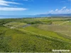 81 Bells Road, Newell, Qld 4873-Image