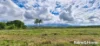 81 Bells Road, Newell, Qld 4873-Image