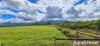 81 Bells Road, Newell, Qld 4873-Image