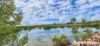 81 Bells Road, Newell, Qld 4873-Image