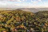 81 Craigend Street, Leura, NSW 2780-Image