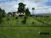 81 Gibbs Road, Munro Plains, Qld 4854-Image