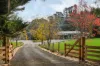 81 Graceburn Avenue, Healesville, Vic 3777-Image