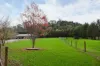 81 Graceburn Avenue, Healesville, Vic 3777-Image