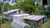 81 Jones Road, Tumoulin, Qld 4888-Image