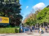 81 King Street, Randwick, NSW 2031-Image