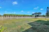 81 Kirchners Road, Bucca, Qld 4670-Image