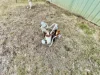 81 Lorrimer Street, Oakey, Qld 4401-Image