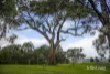 81 Metcalfe Taradale Road, Metcalfe, Vic 3448-Image