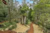 81 Mount Street, Leura, NSW 2780-Image
