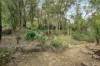 81 Mount Street, Leura, NSW 2780-Image