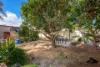 81 Tallarook Way, Waggrakine, WA 6530-Image