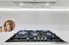 81 Tannum Circuit, Truganina, Vic 3029-Image