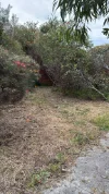 81 Tyrell St, Nedlands, WA 6009-Image