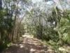 810 Fingerfield Road, Deepwater, Qld 4674-Image