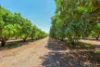 810 Reedbeds Road, Darwin River, NT 0841-Image