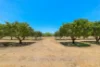 810 Reedbeds Road, Darwin River, NT 0841-Image