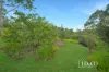 813 Yakapari-Seaforth Road, Mount Jukes, Qld 4740-Image